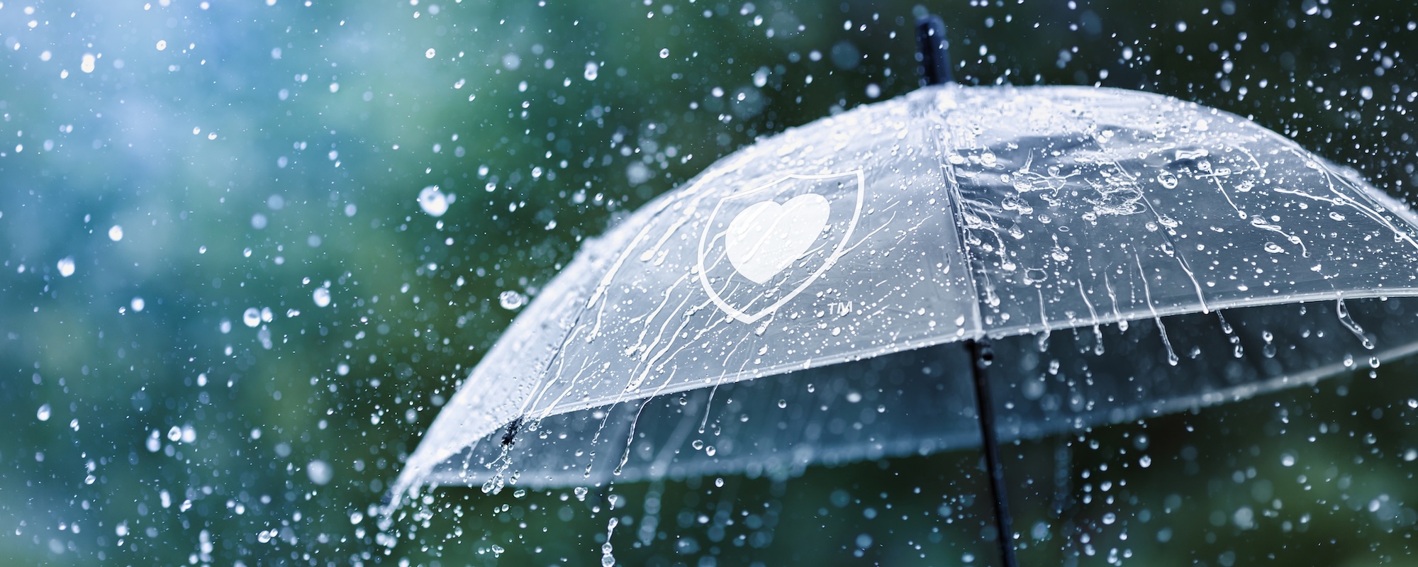 Close-up of a transparent umbrella with the NorthShore Care Supply heart-in-shield logo as raindrops fall and stream across its surface, set against a softly blurred outdoor background.
