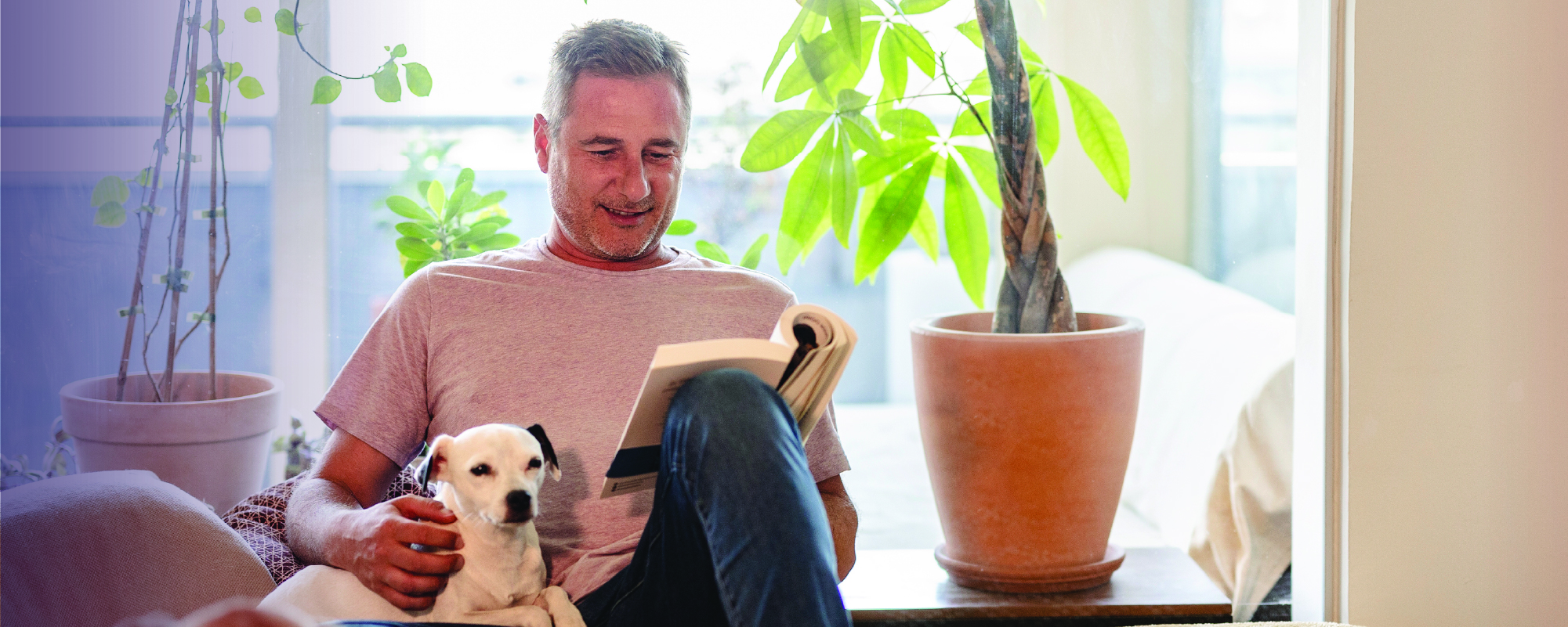 A man sits on a bed reading a book while petting a small white dog, with another dog in the foreground and several large houseplants by bright windows in the background.